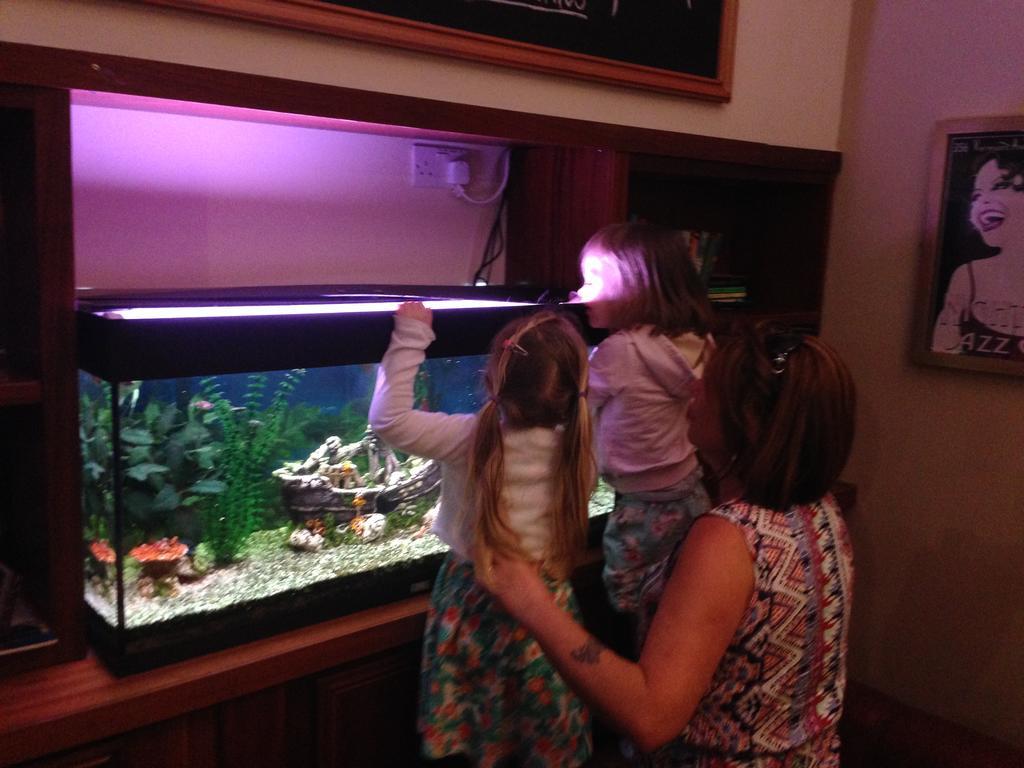 Leitrim Marina Hotel Carrick on Shannon Dış mekan fotoğraf